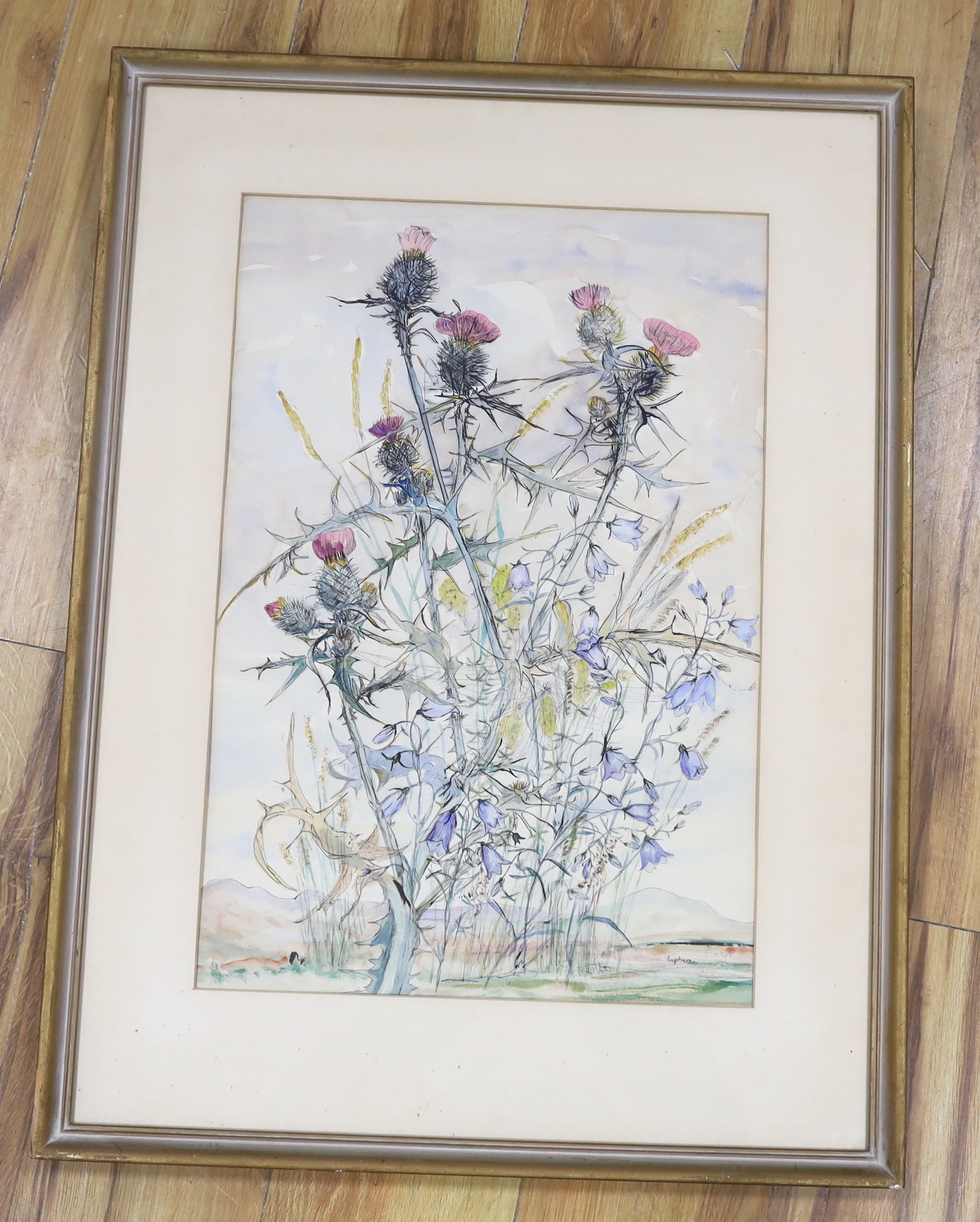 Euphen Alexander (Scottish 1917-2008), watercolour, 'Scottish Thistles and Bluebells', signed together with a watercolour landscape signed John Cooke, 53 x 36cm